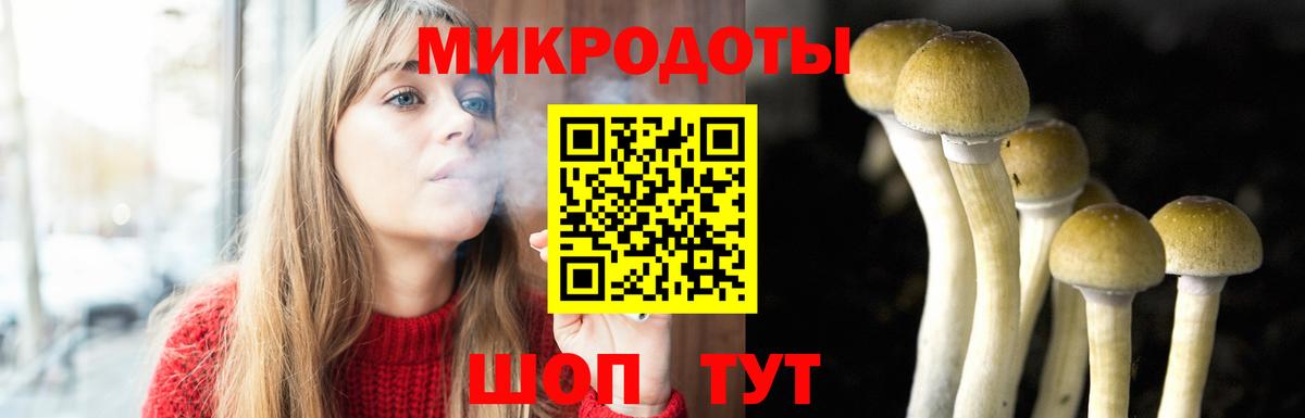 Псилоцибиновые грибы мицелий Ленинск-Кузнецкий